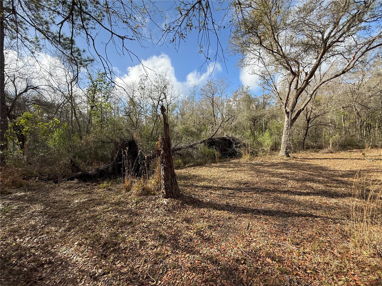 12708 FARMETTES RD, LAKELAND, FL, 33809