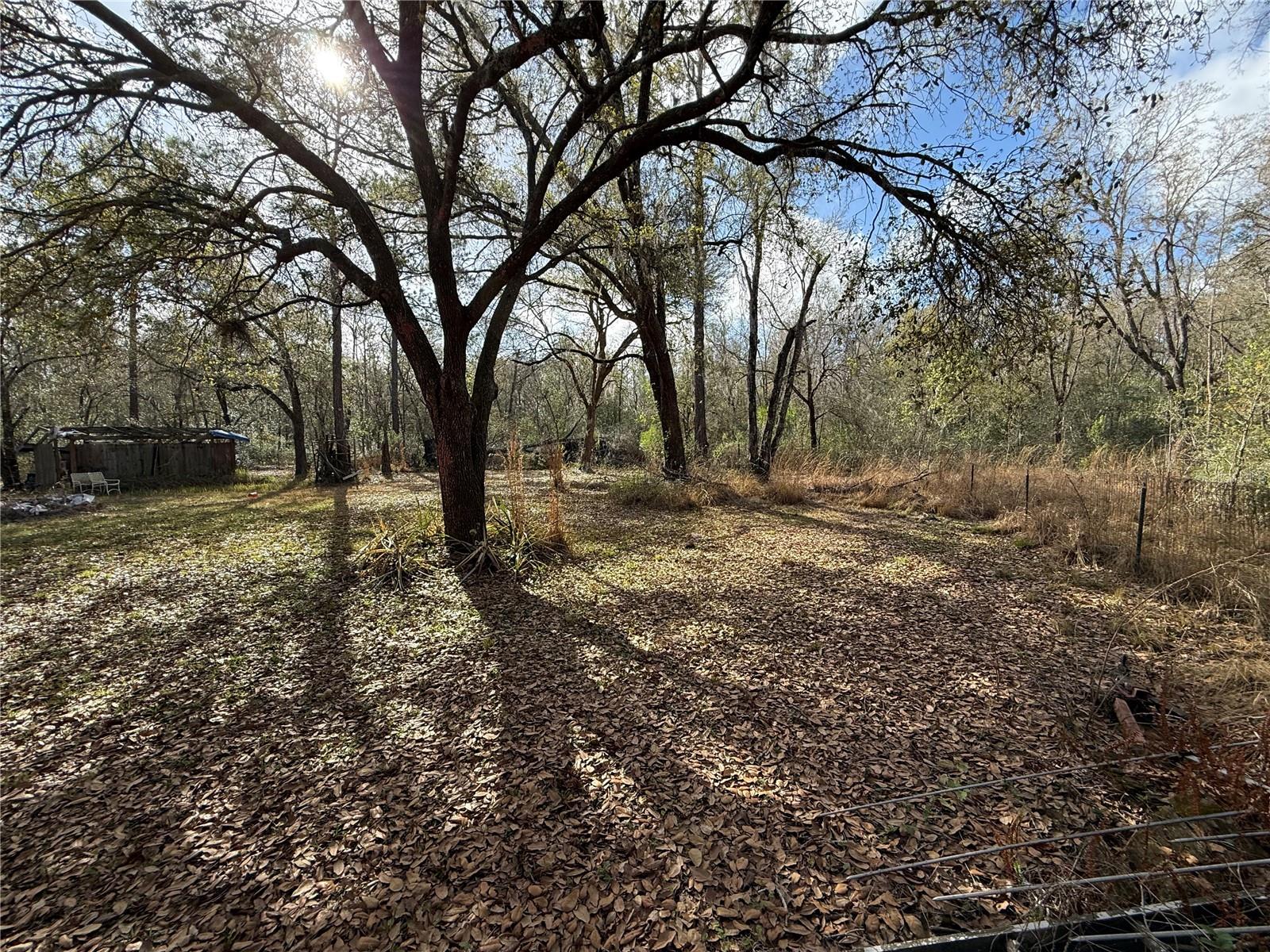 12708 FARMETTES RD, LAKELAND, FL, 33809