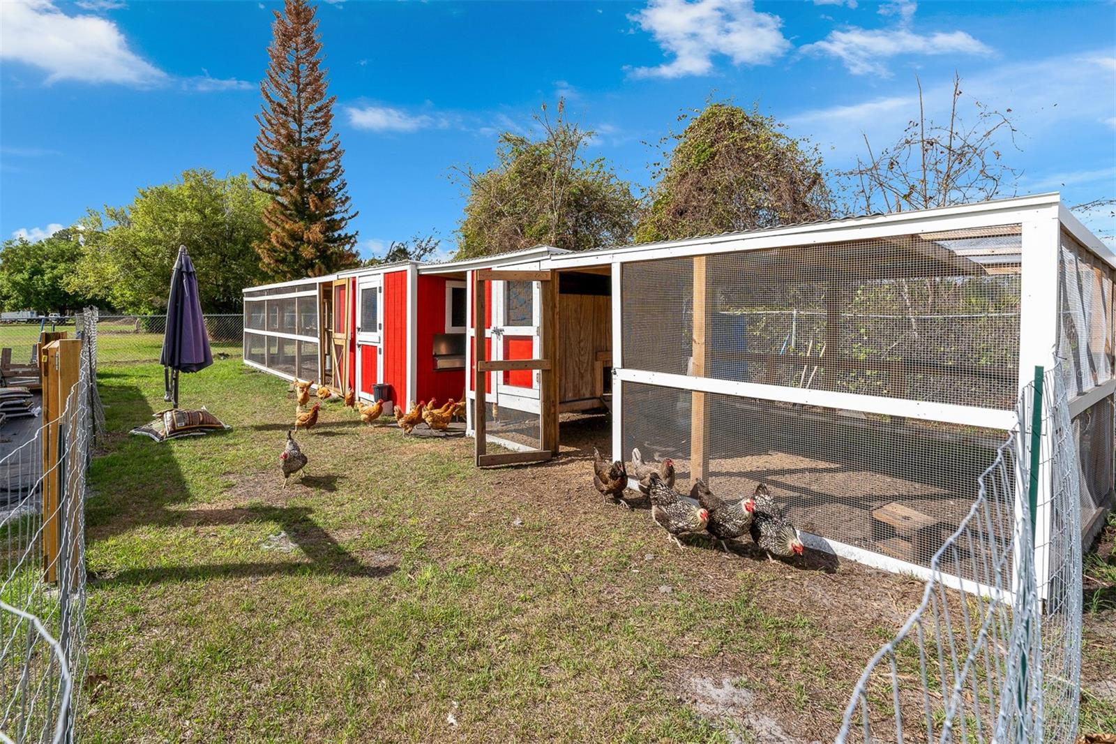 8704 BENOIT AVE, ORLANDO, FL, 32836