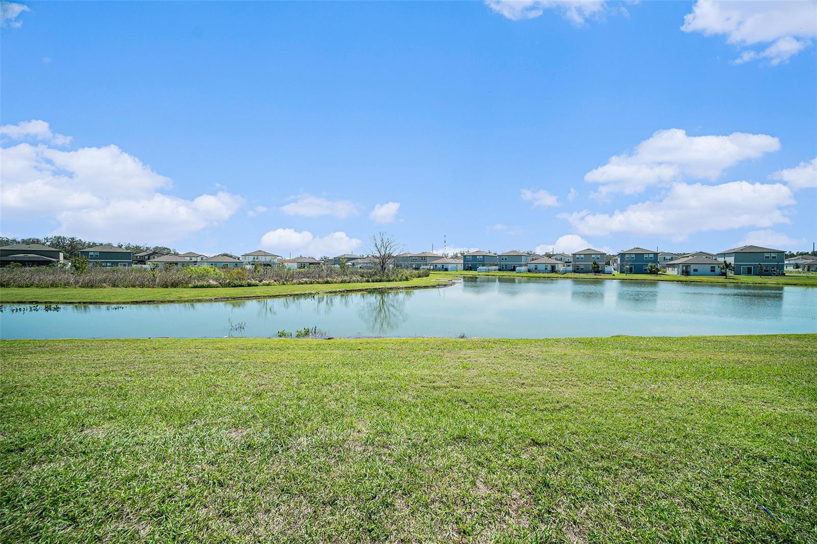35542 BUTTONWEED, ZEPHYRHILLS, FL, 33541