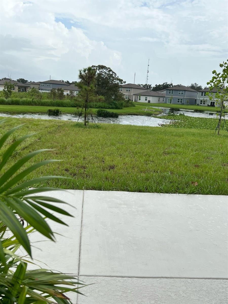 35542 BUTTONWEED, ZEPHYRHILLS, FL, 33541