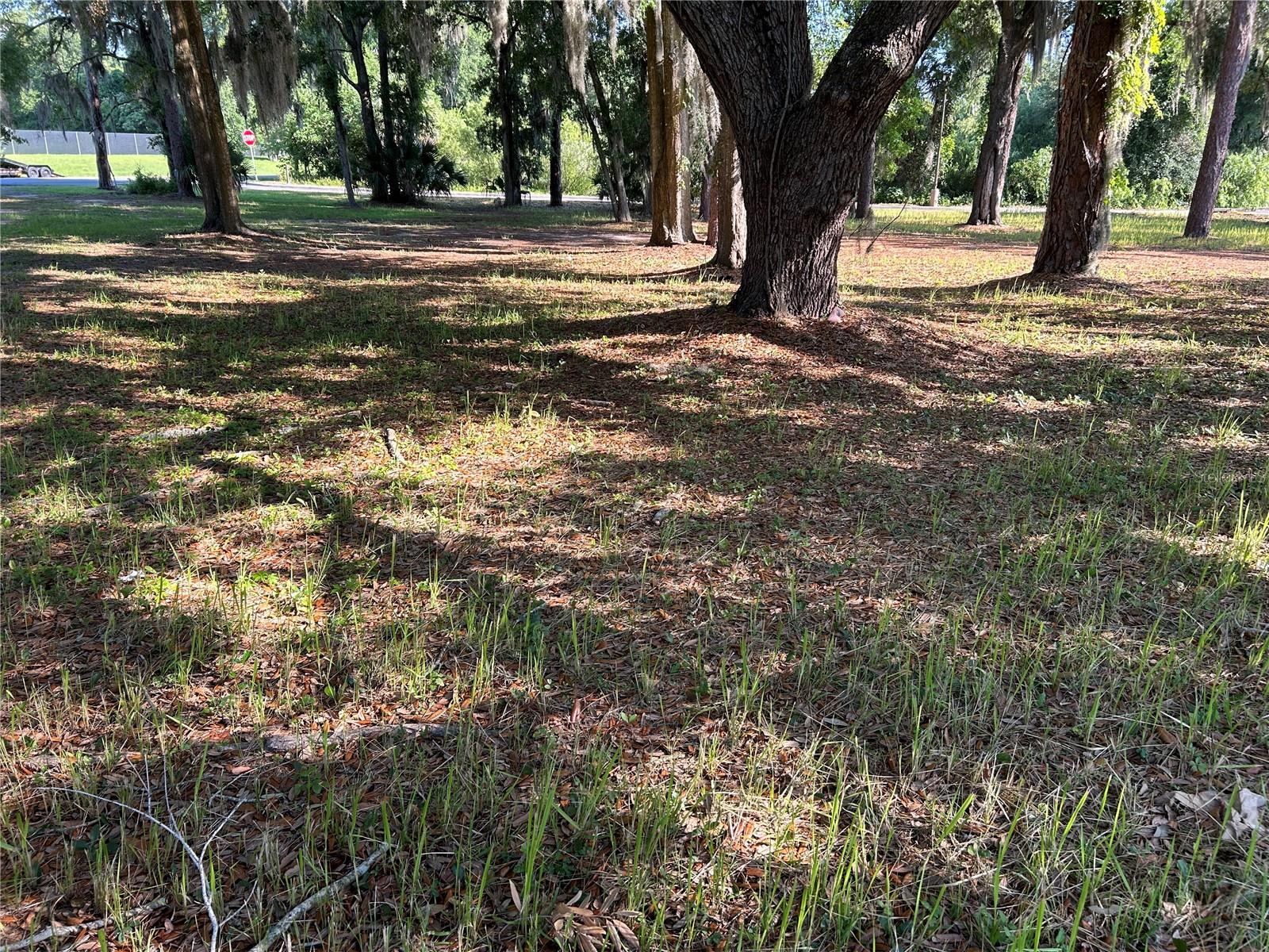 RYANS FIRST ADD, OCALA, FL, 34471