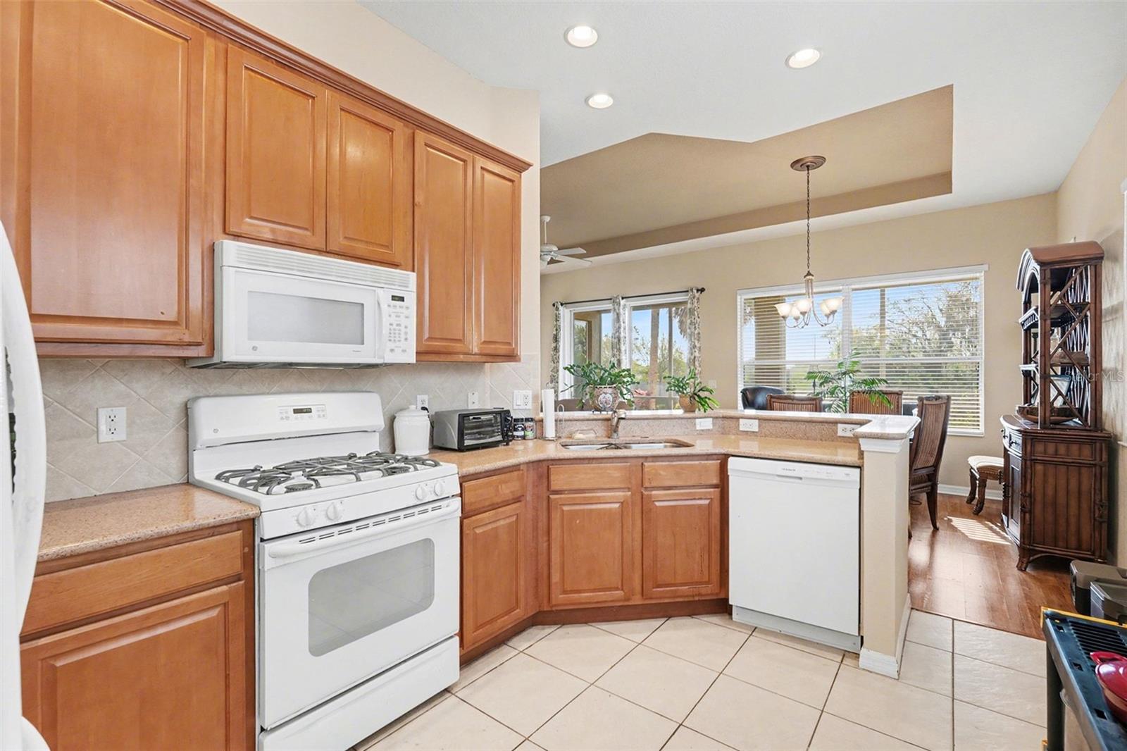 918 REGAL MANOR WAY, SUN CITY CENTER, FL, 33573