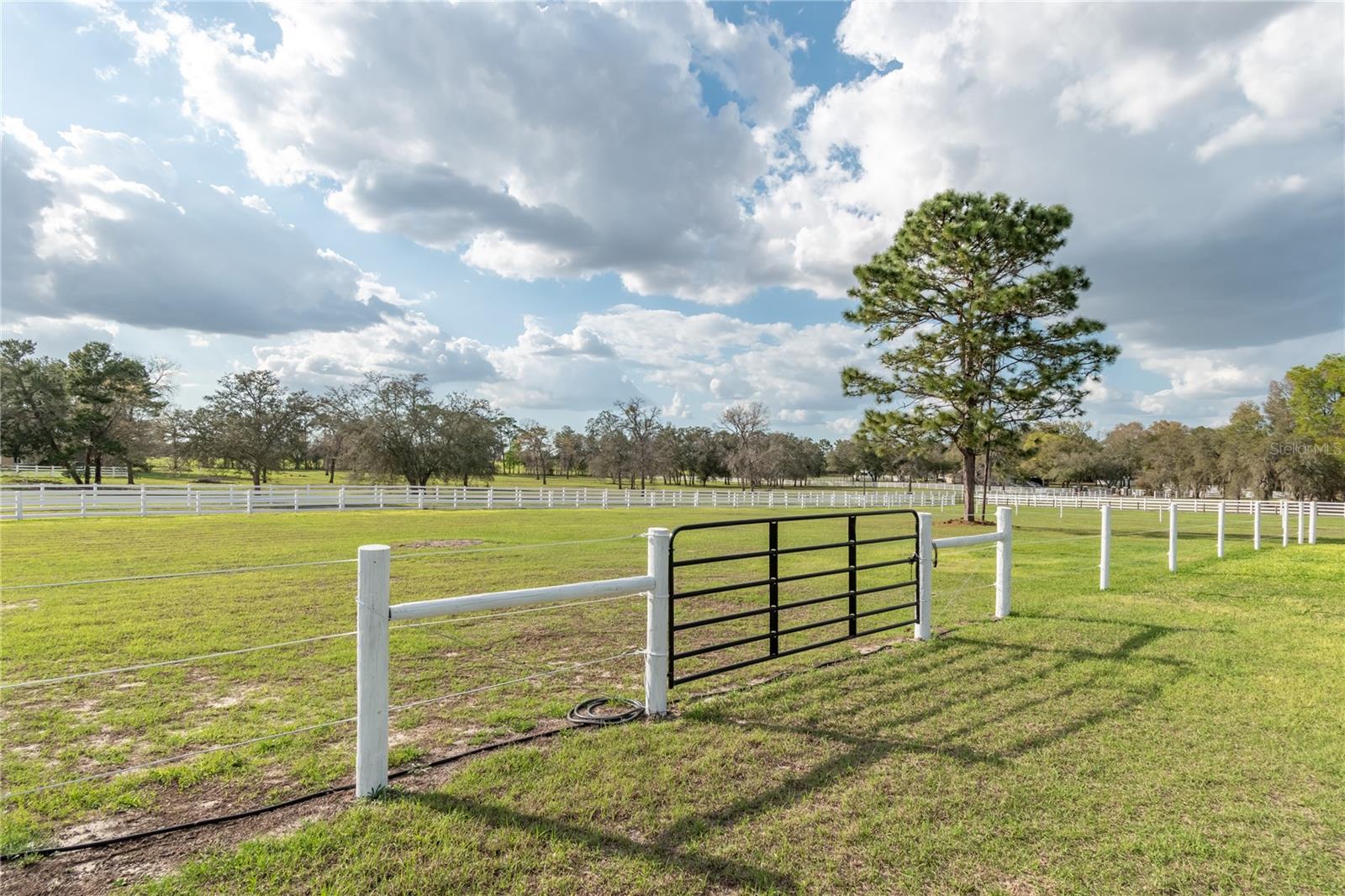 10516 SW 27TH AVE, OCALA, FL, 34476