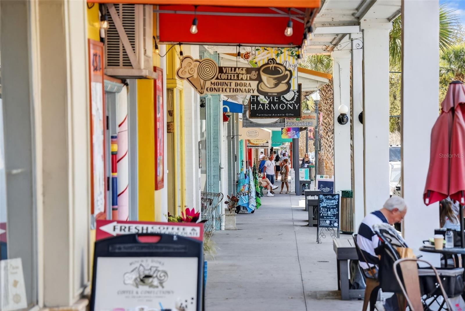 1120 GARDNER LN, MOUNT DORA, FL, 32757