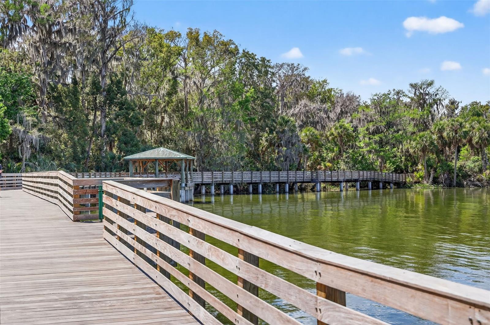 1120 GARDNER LN, MOUNT DORA, FL, 32757