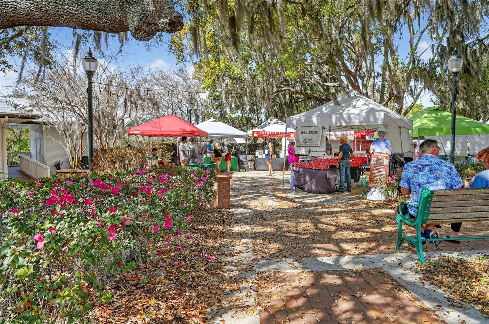 1120 GARDNER LN, MOUNT DORA, FL, 32757