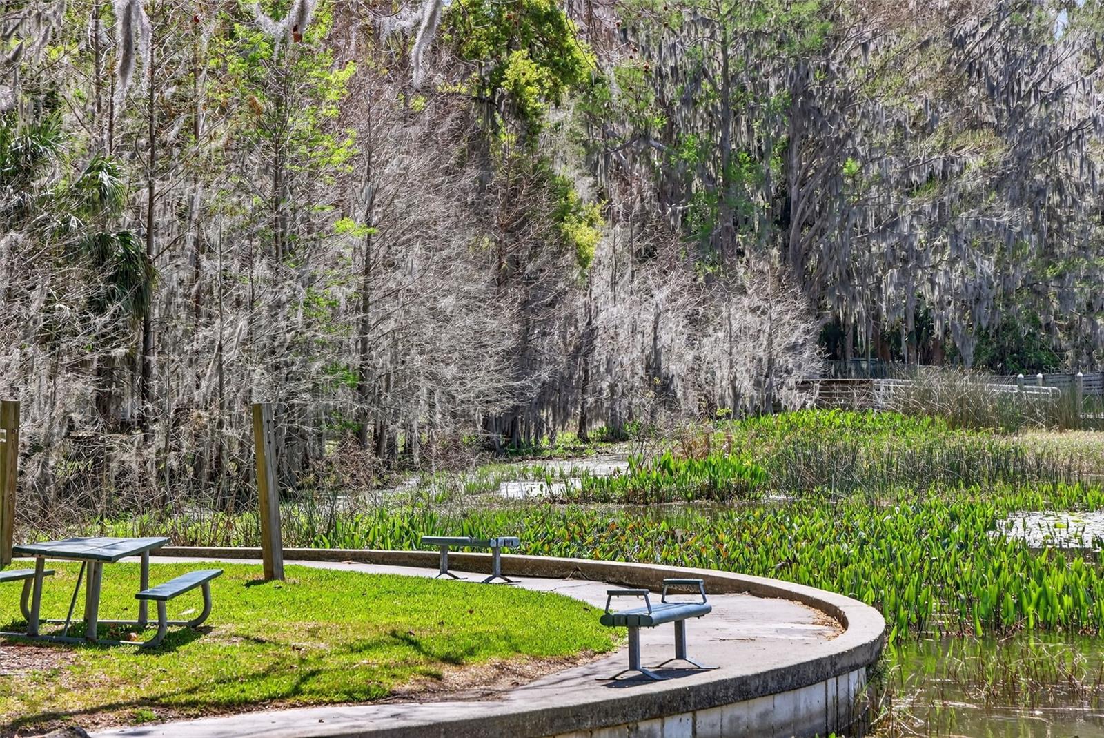 1120 GARDNER LN, MOUNT DORA, FL, 32757