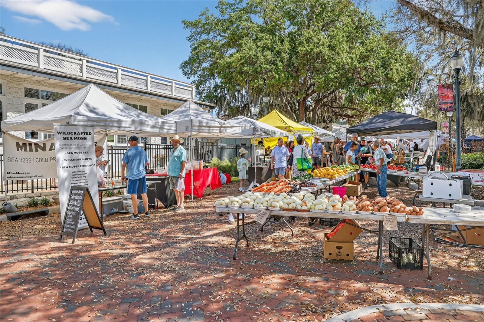 1120 GARDNER LN, MOUNT DORA, FL, 32757