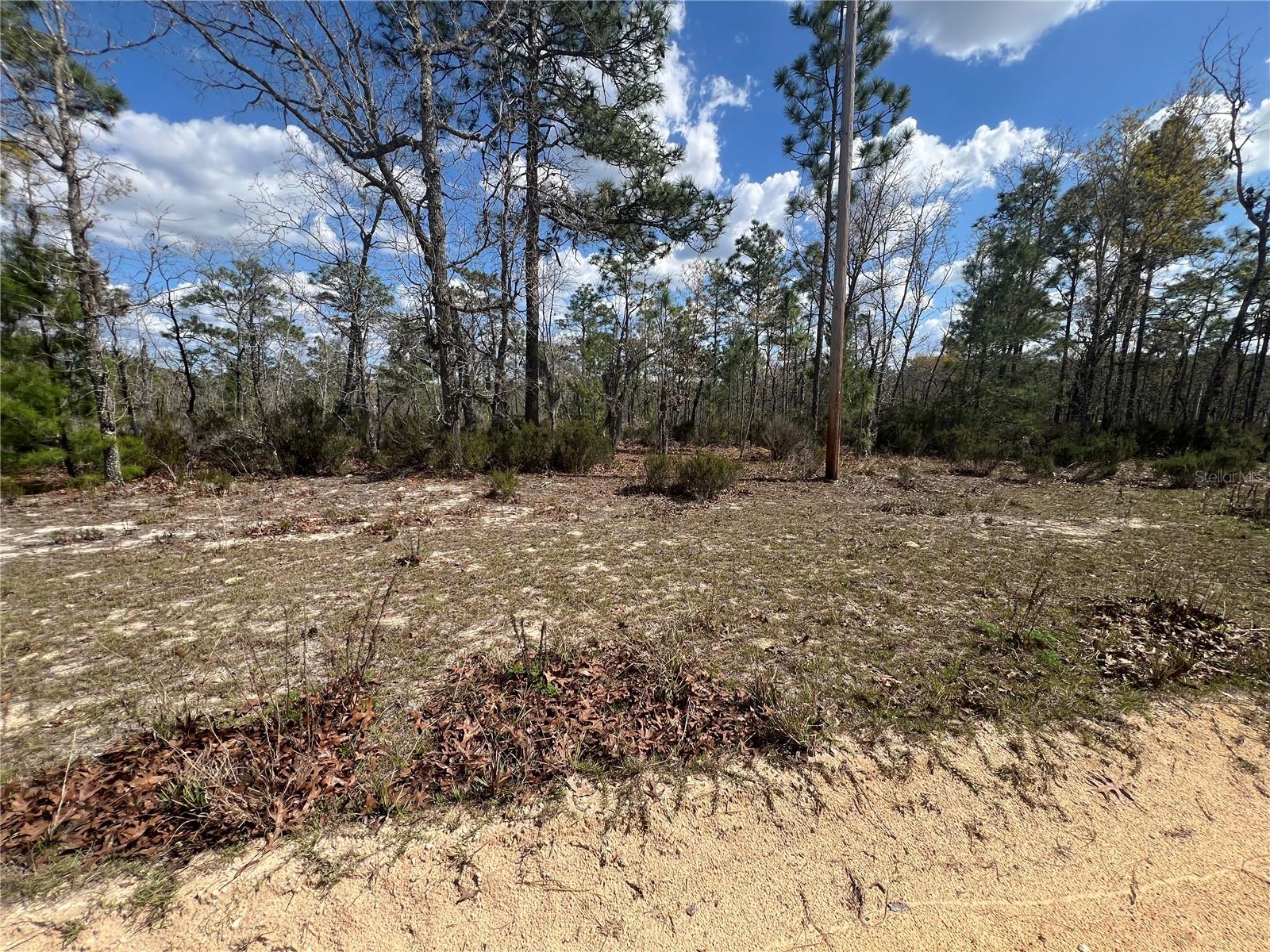 131 QUAIL WAY, HAWTHORNE, FL, 32640