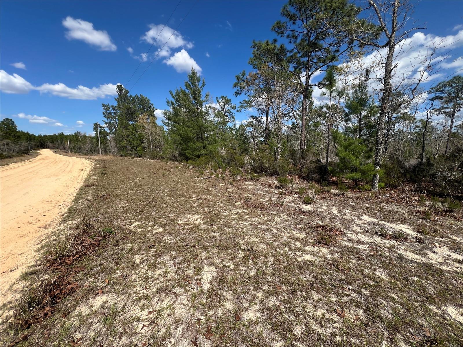 131 QUAIL WAY, HAWTHORNE, FL, 32640