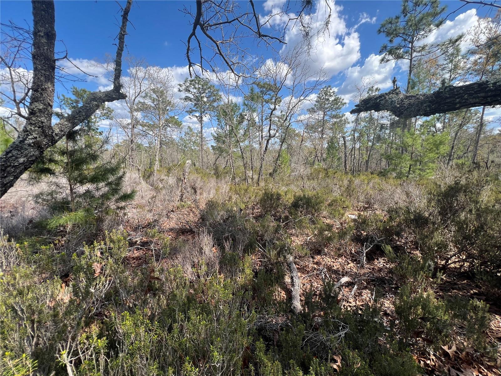 131 QUAIL WAY, HAWTHORNE, FL, 32640