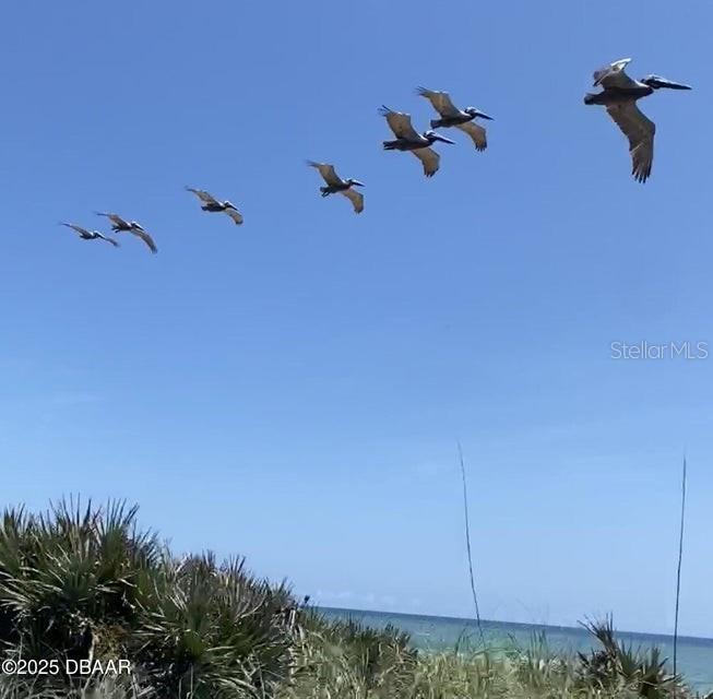 3000 OCEAN SHORE BLVD #15, ORMOND BEACH, FL, 32176