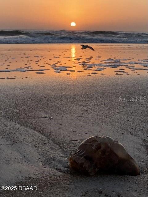 3000 OCEAN SHORE BLVD #15, ORMOND BEACH, FL, 32176