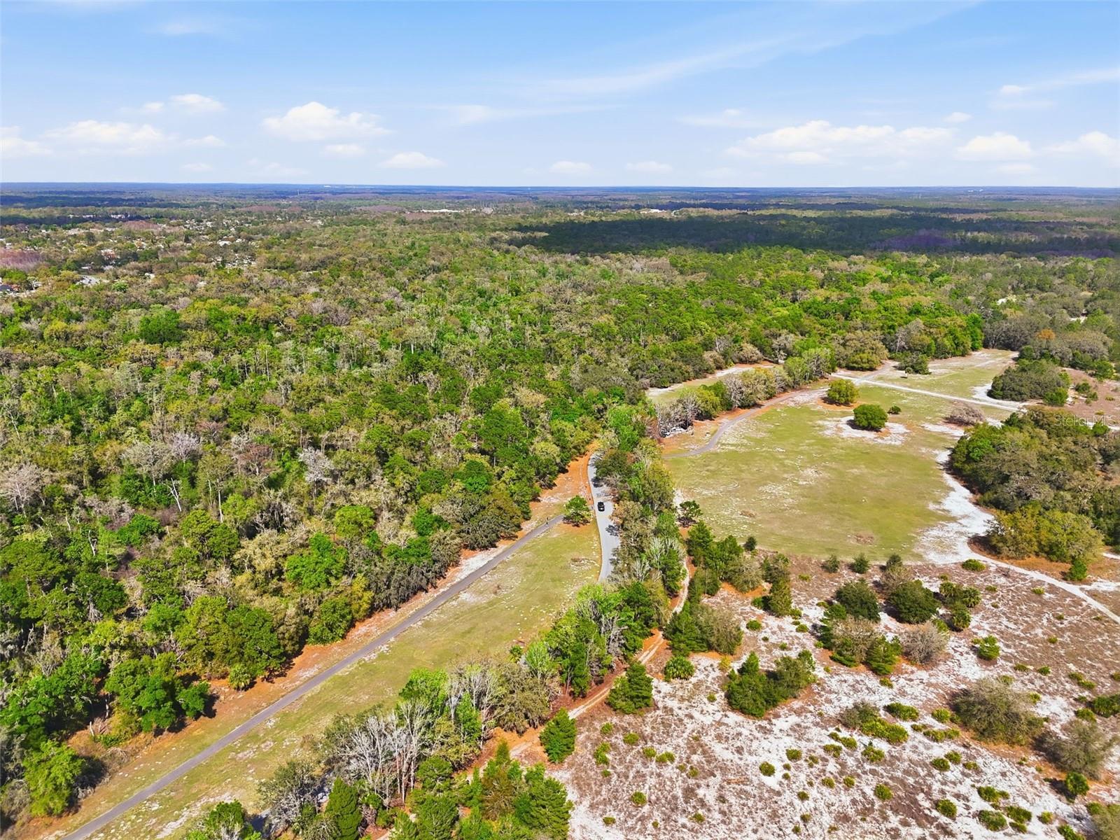 10542 BUCKS RUN, NEW PORT RICHEY, FL, 34654