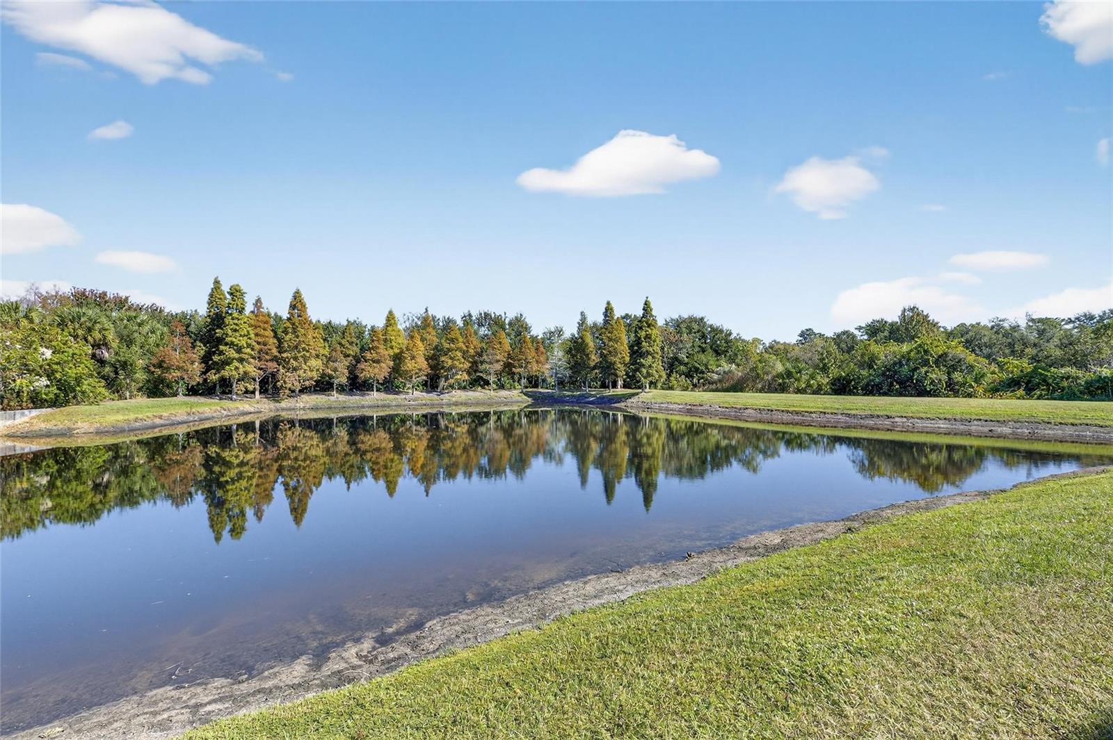8850 INDIGO TRAIL LOOP, RIVERVIEW, FL, 33578