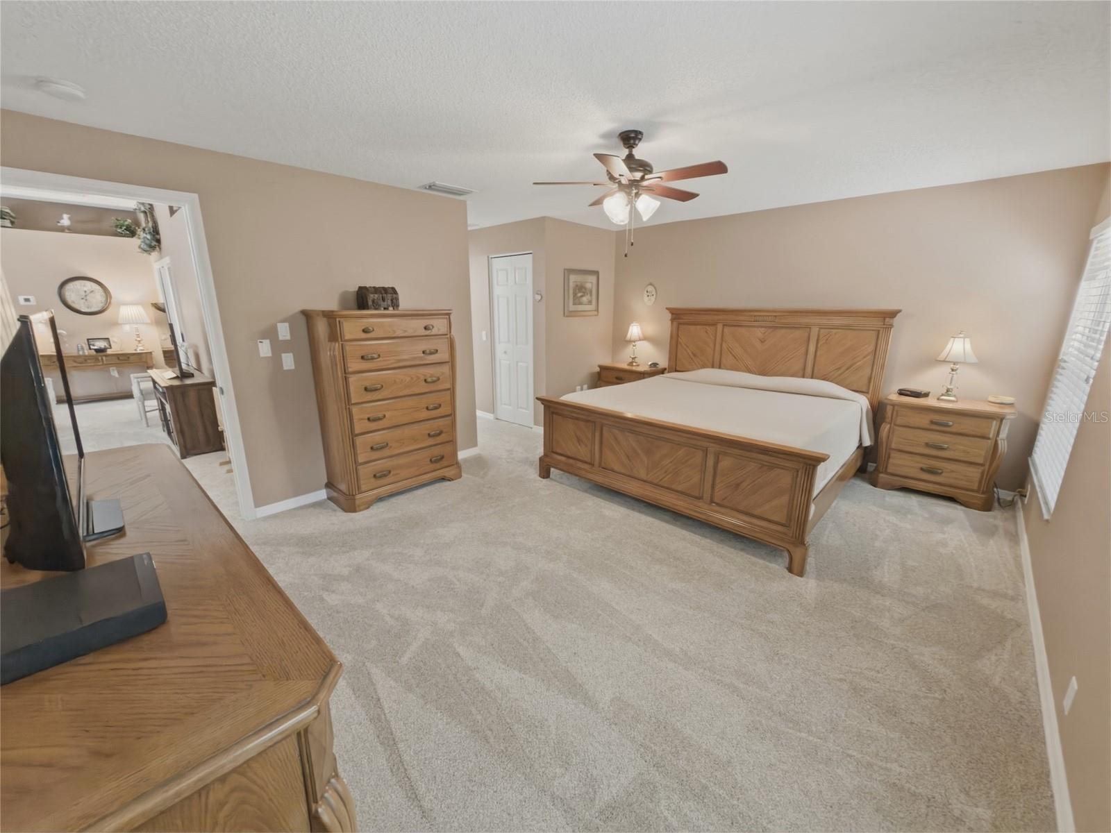 18038 WEBSTER GROVE DR, HUDSON, FL, 34667