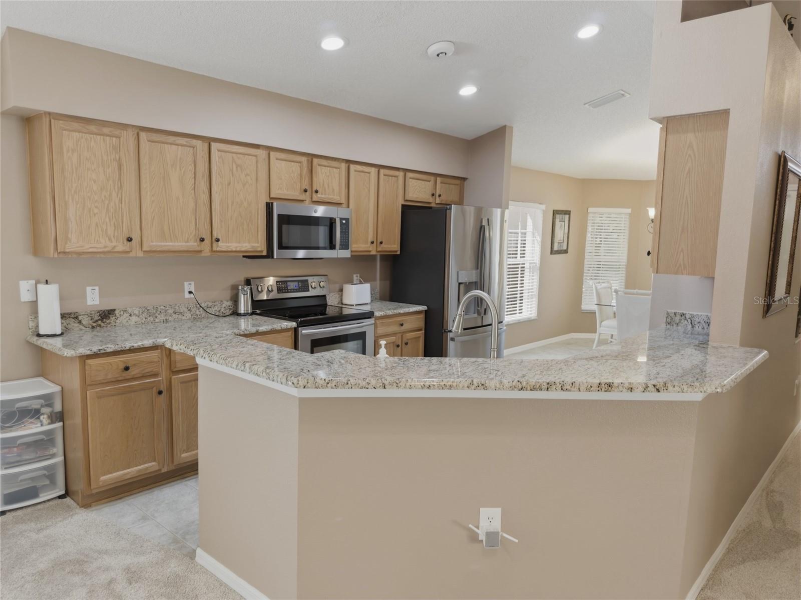 18038 WEBSTER GROVE DR, HUDSON, FL, 34667