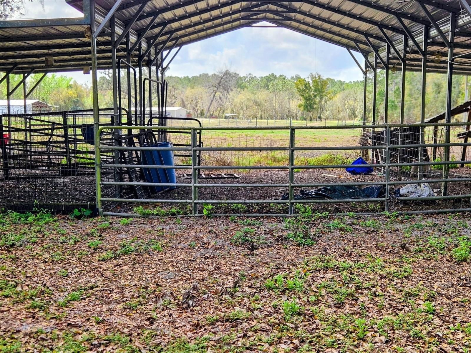 1488 CAUSEY LN, SEVILLE, FL, 32190