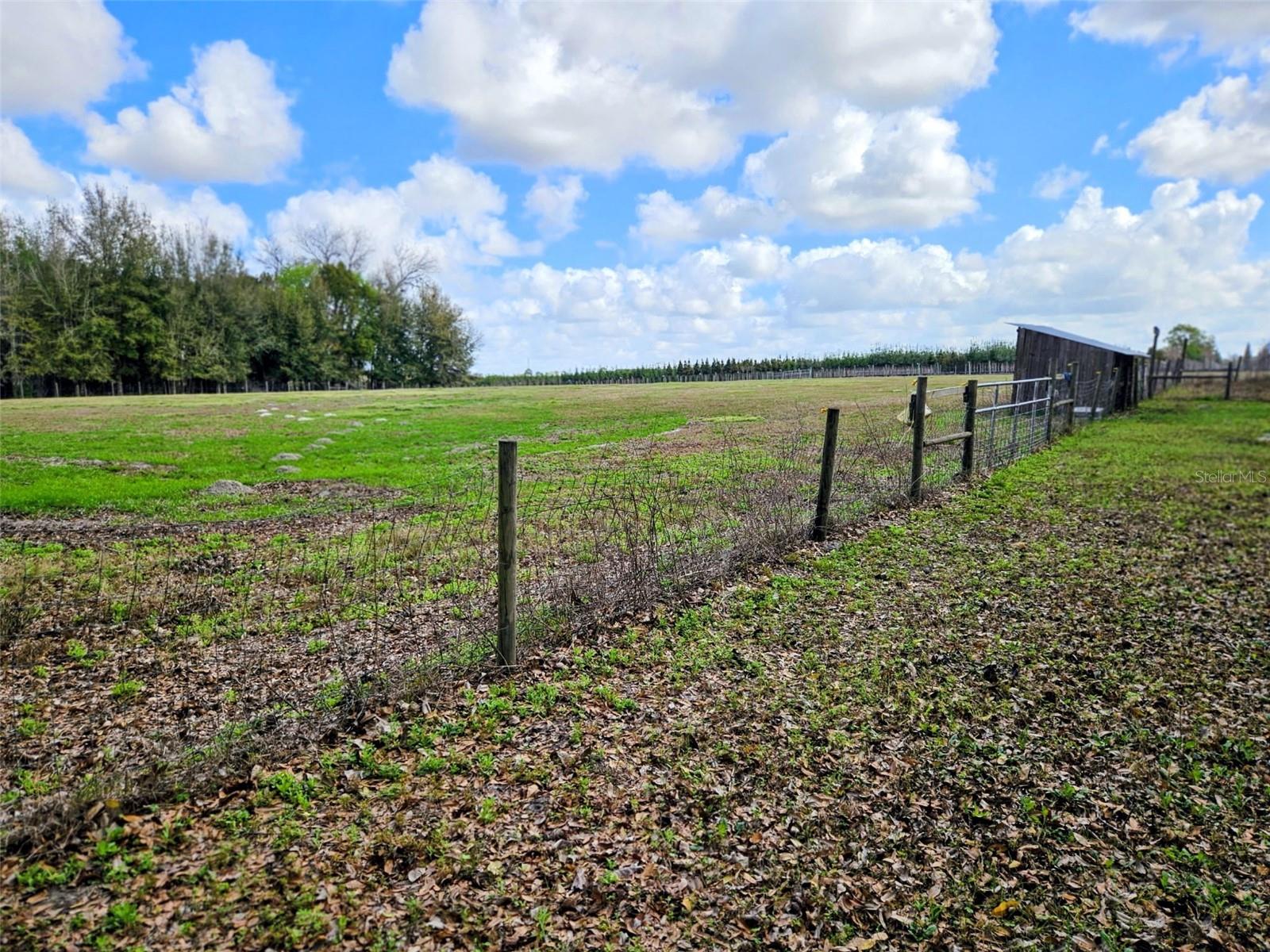 1488 CAUSEY LN, SEVILLE, FL, 32190