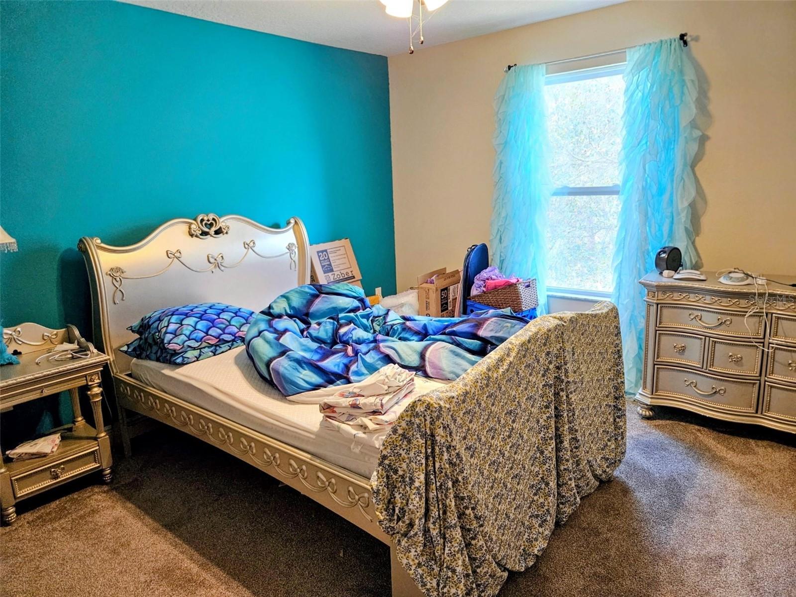 1488 CAUSEY LN, SEVILLE, FL, 32190