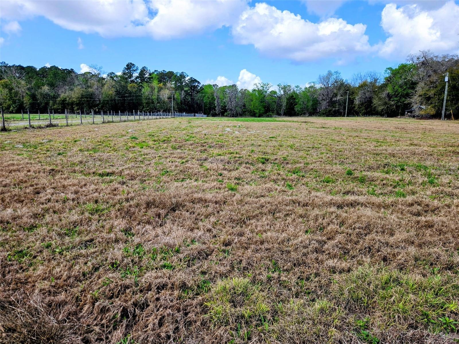 1488 CAUSEY LN, SEVILLE, FL, 32190