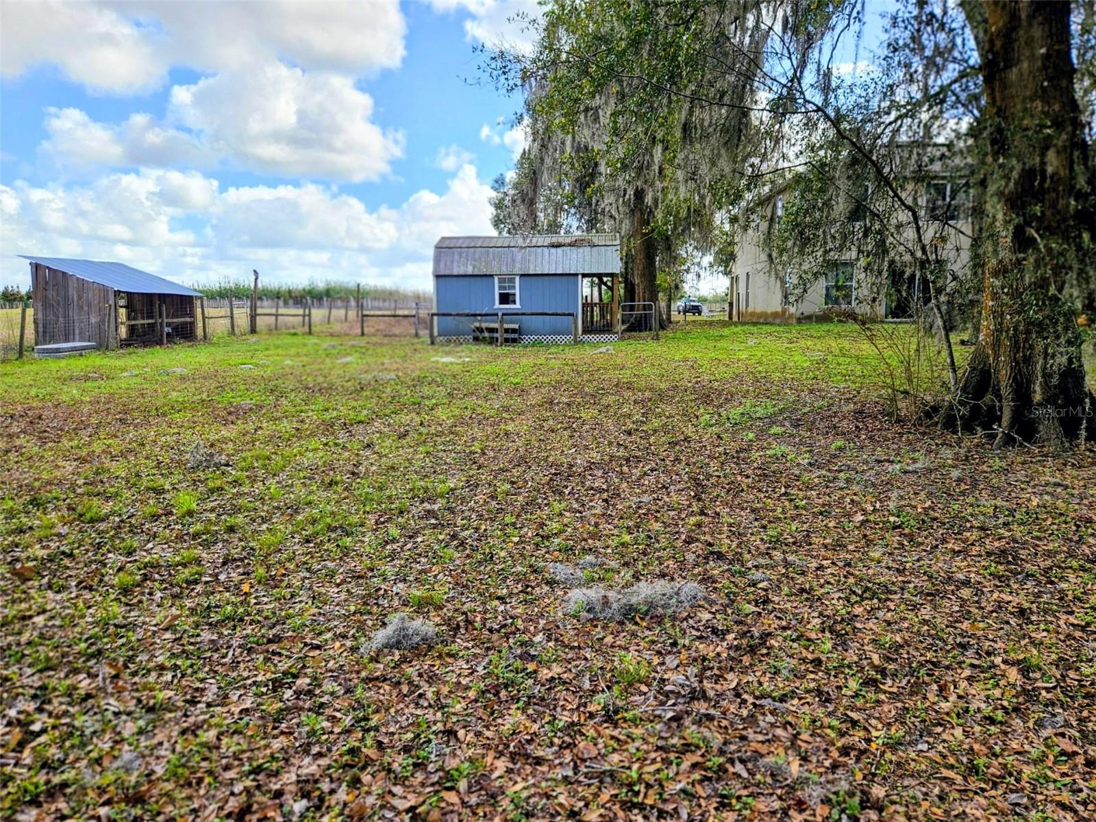 1488 CAUSEY LN, SEVILLE, FL, 32190