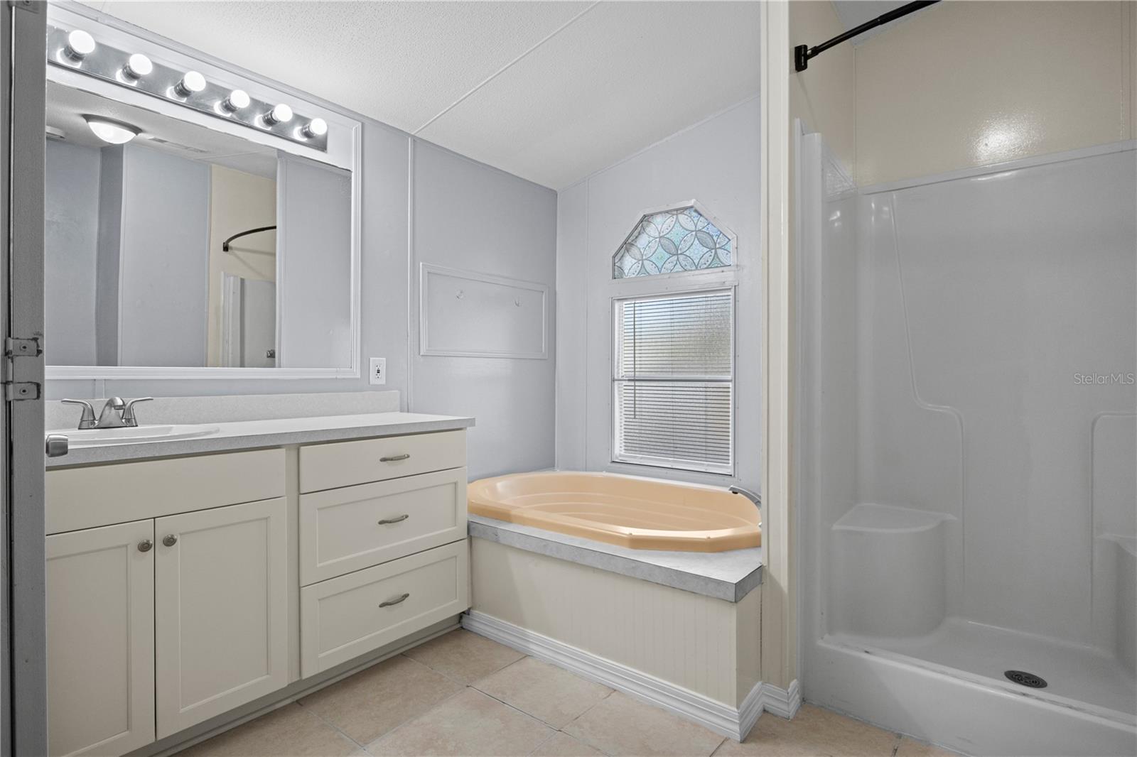 10522 BAY HILLS CIR, THONOTOSASSA, FL, 33592