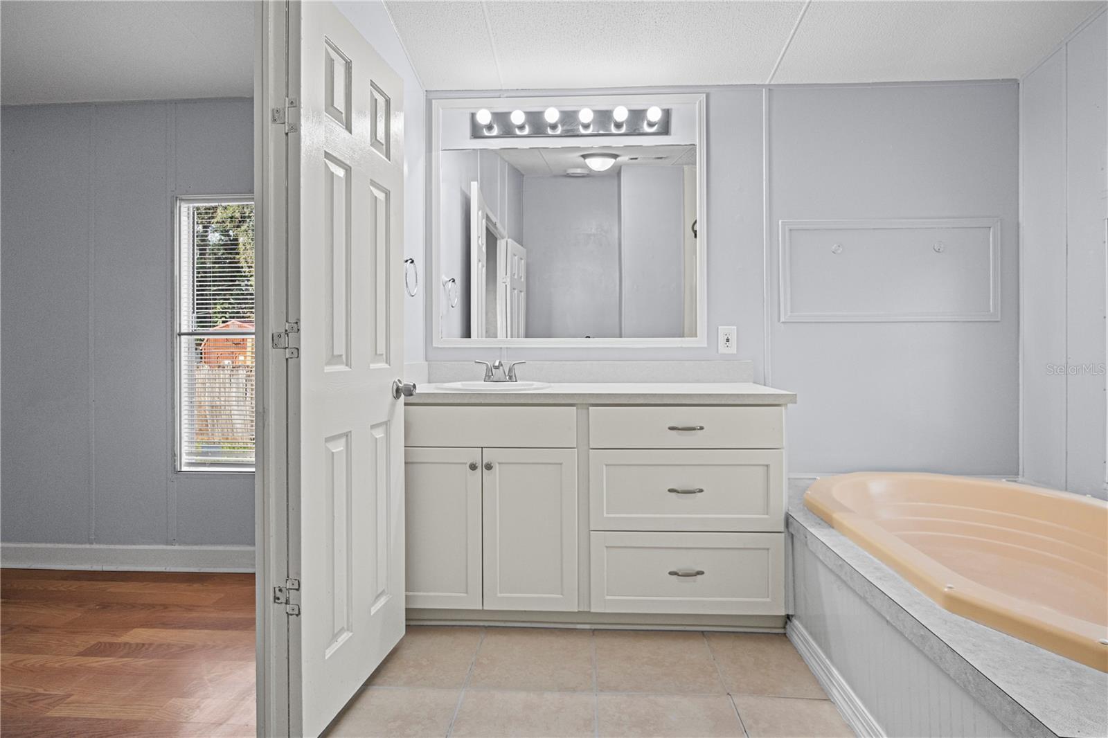 10522 BAY HILLS CIR, THONOTOSASSA, FL, 33592