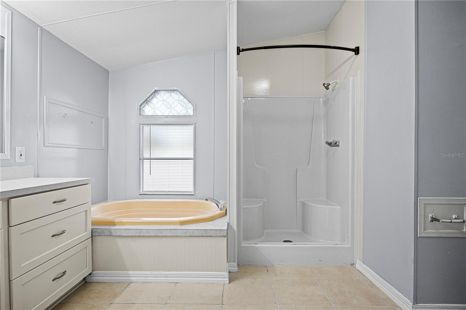 10522 BAY HILLS CIR, THONOTOSASSA, FL, 33592