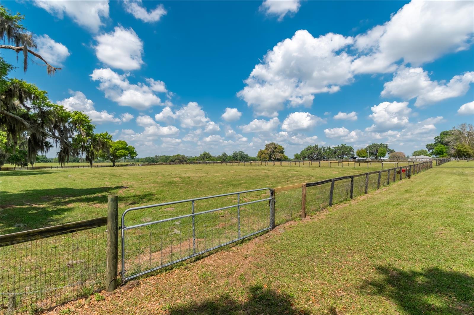 13025 NW GAINESVILLE RD, REDDICK, FL, 32686