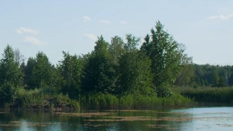 10534 FOUNTAIN PALM CIR, BOKEELIA, FL, 33922