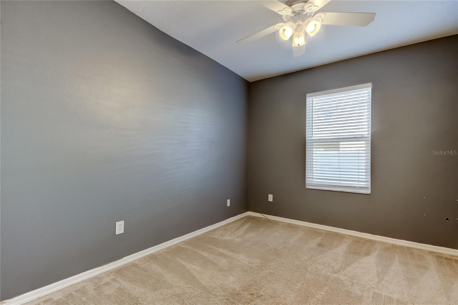 3421 SANTA RITA LN, LAND O LAKES, FL, 34639