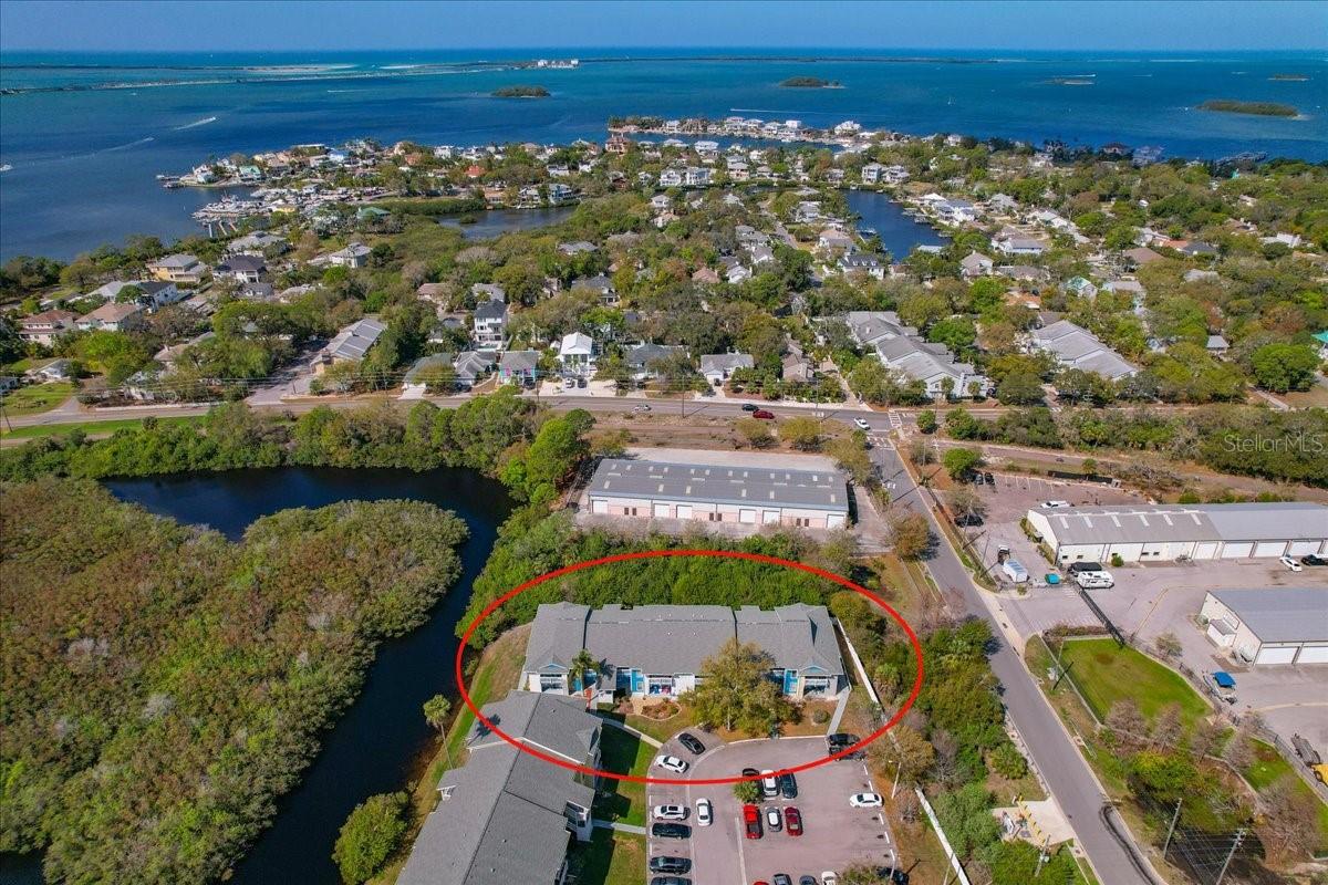 455 ALT 19 S #151, PALM HARBOR, FL, 34683