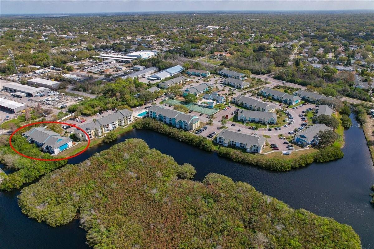 455 ALT 19 S #151, PALM HARBOR, FL, 34683