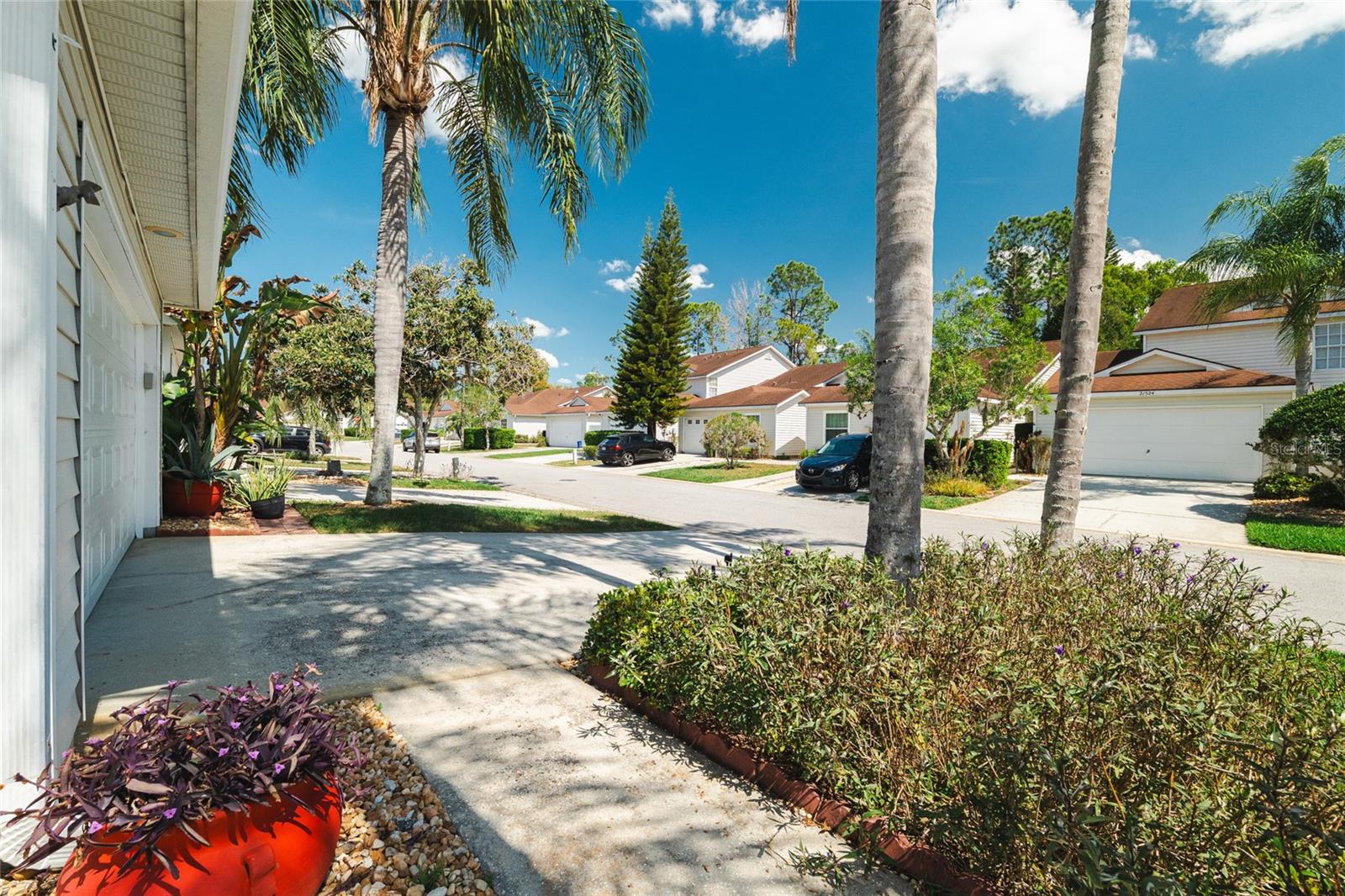 21523 WOODSTORK LN, LUTZ, FL, 33549