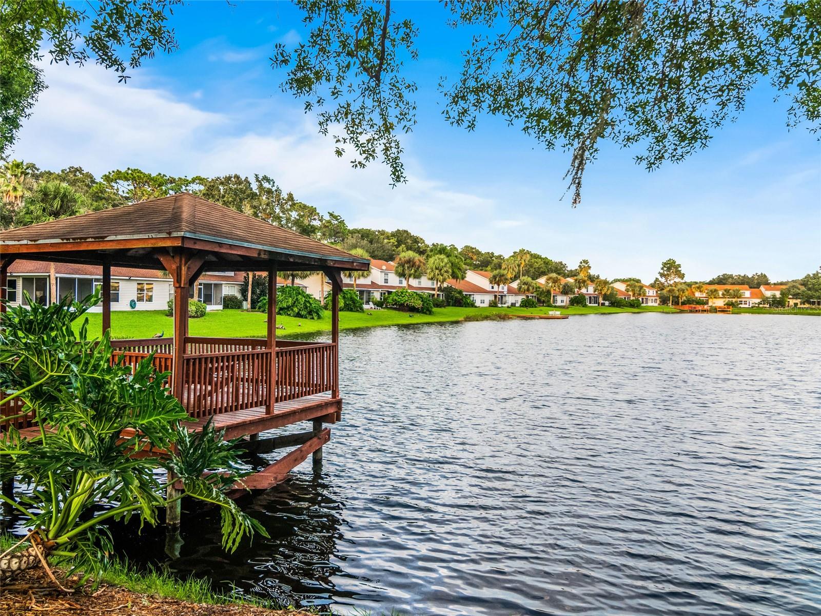 21523 WOODSTORK LN, LUTZ, FL, 33549