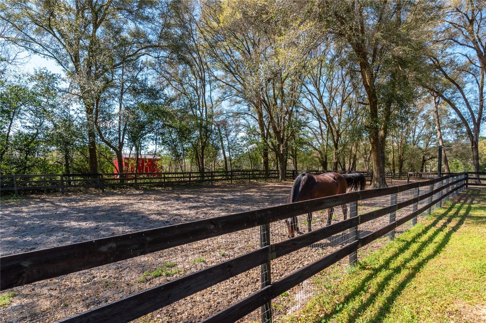 10 CARRY BACK RD, OCALA, FL, 34482