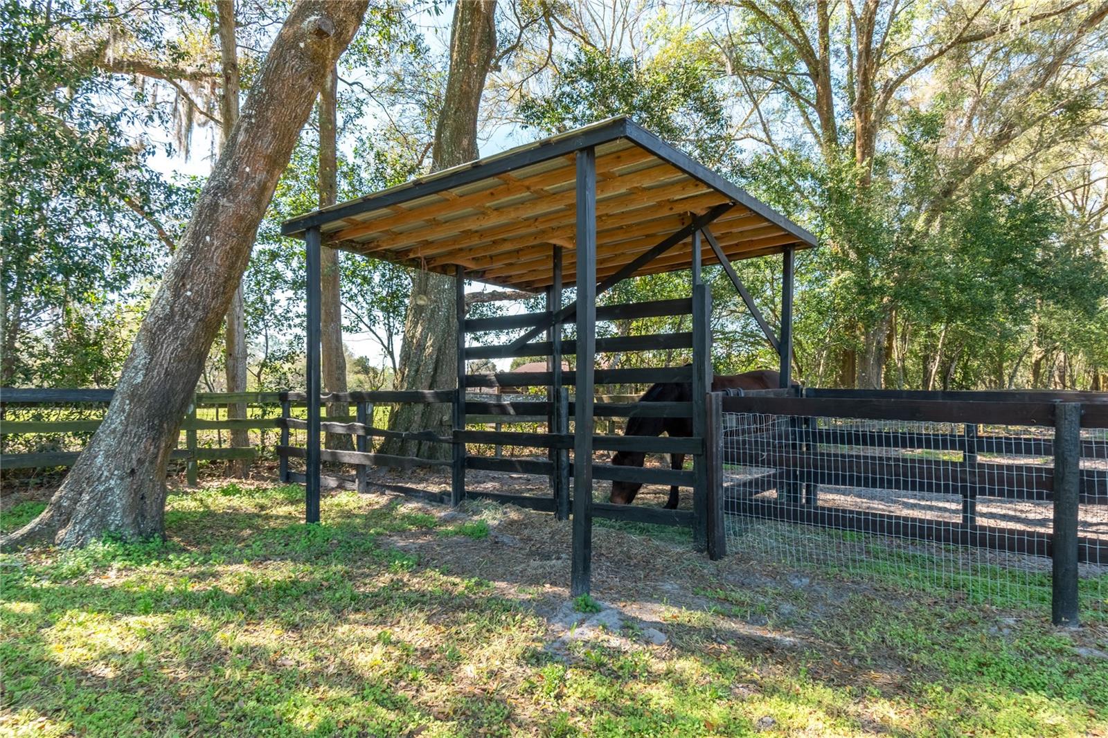 10 CARRY BACK RD, OCALA, FL, 34482