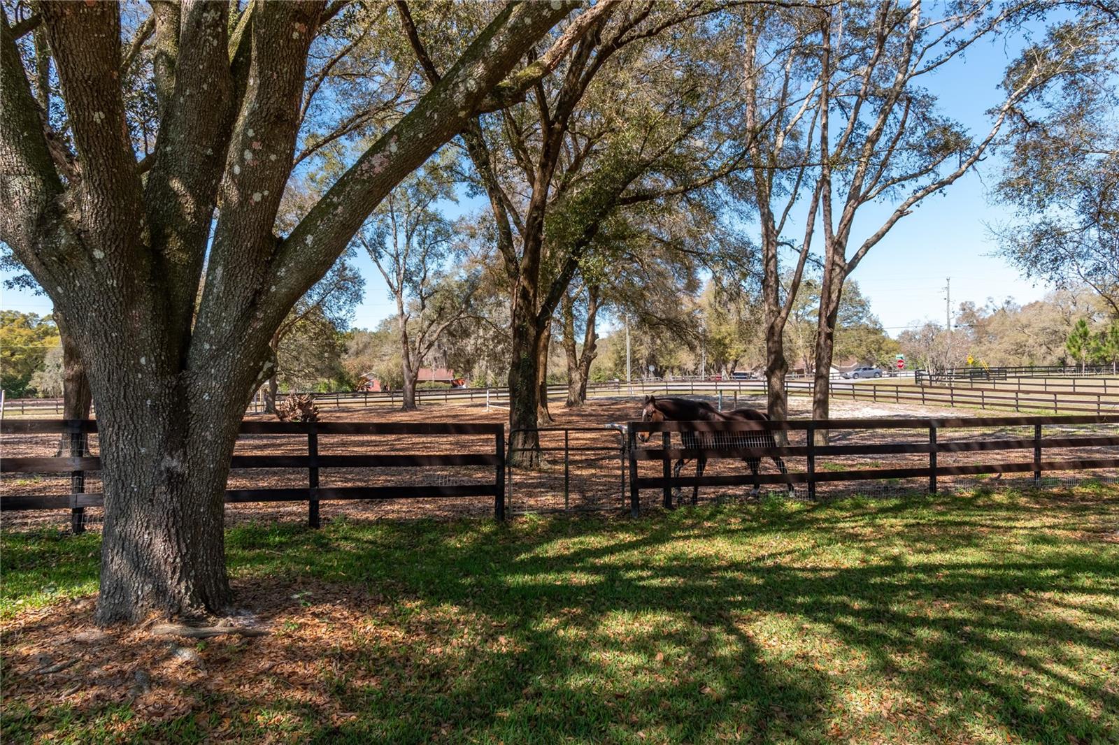 10 CARRY BACK RD, OCALA, FL, 34482