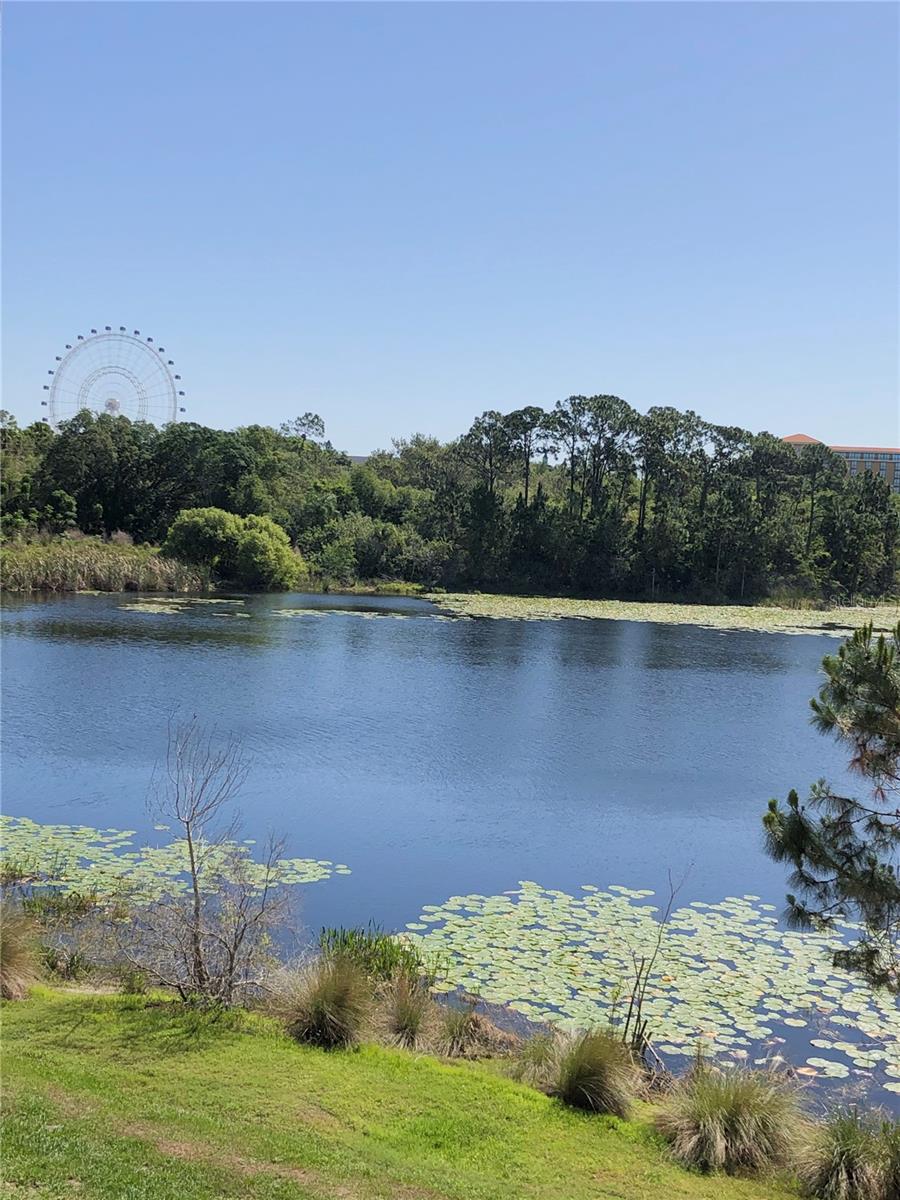 8825 LATREC AVE #6201, ORLANDO, FL, 32819