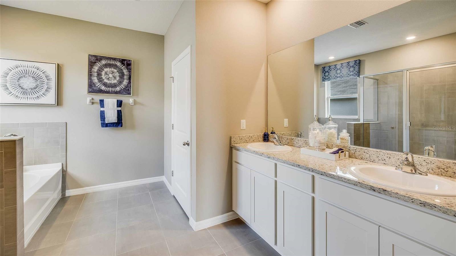 4411 SILVER BIRCH CT, PALMETTO, FL, 34221