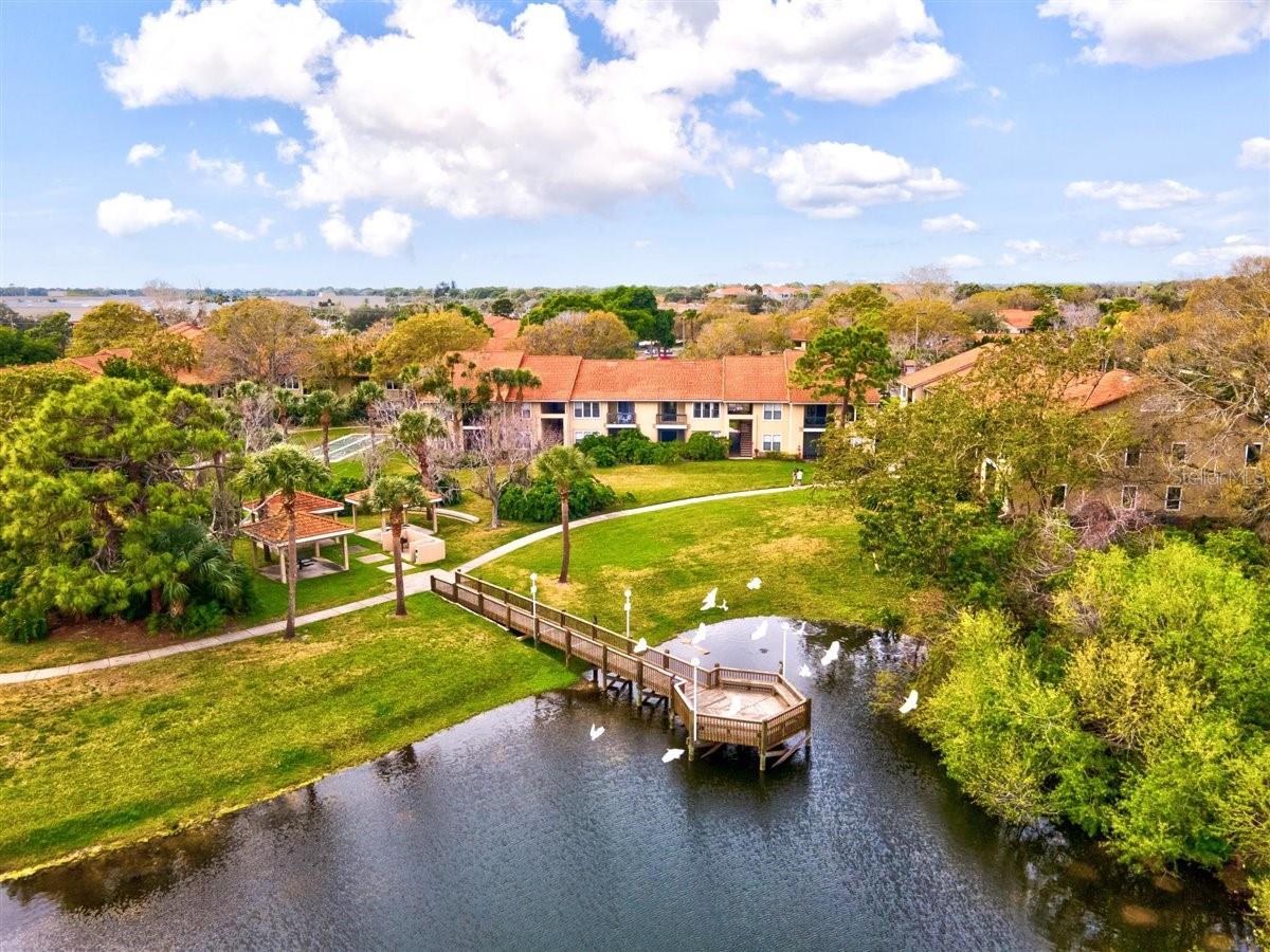 4013 CROCKERS LAKE BLVD #26, SARASOTA, FL, 34238