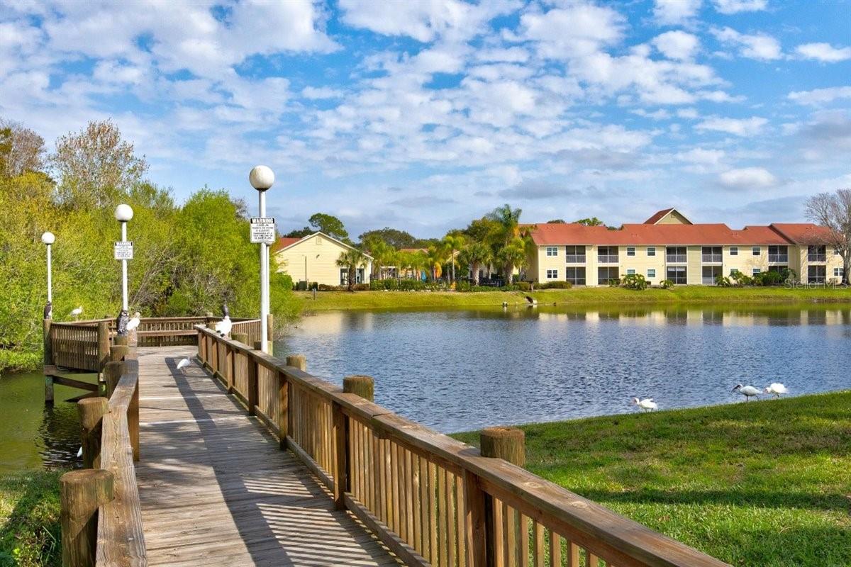 4013 CROCKERS LAKE BLVD #26, SARASOTA, FL, 34238