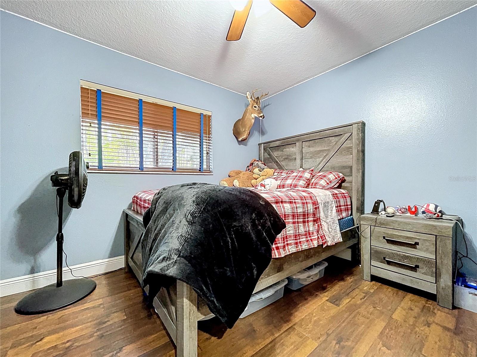 10170 CASEY DR, NEW PORT RICHEY, FL, 34654