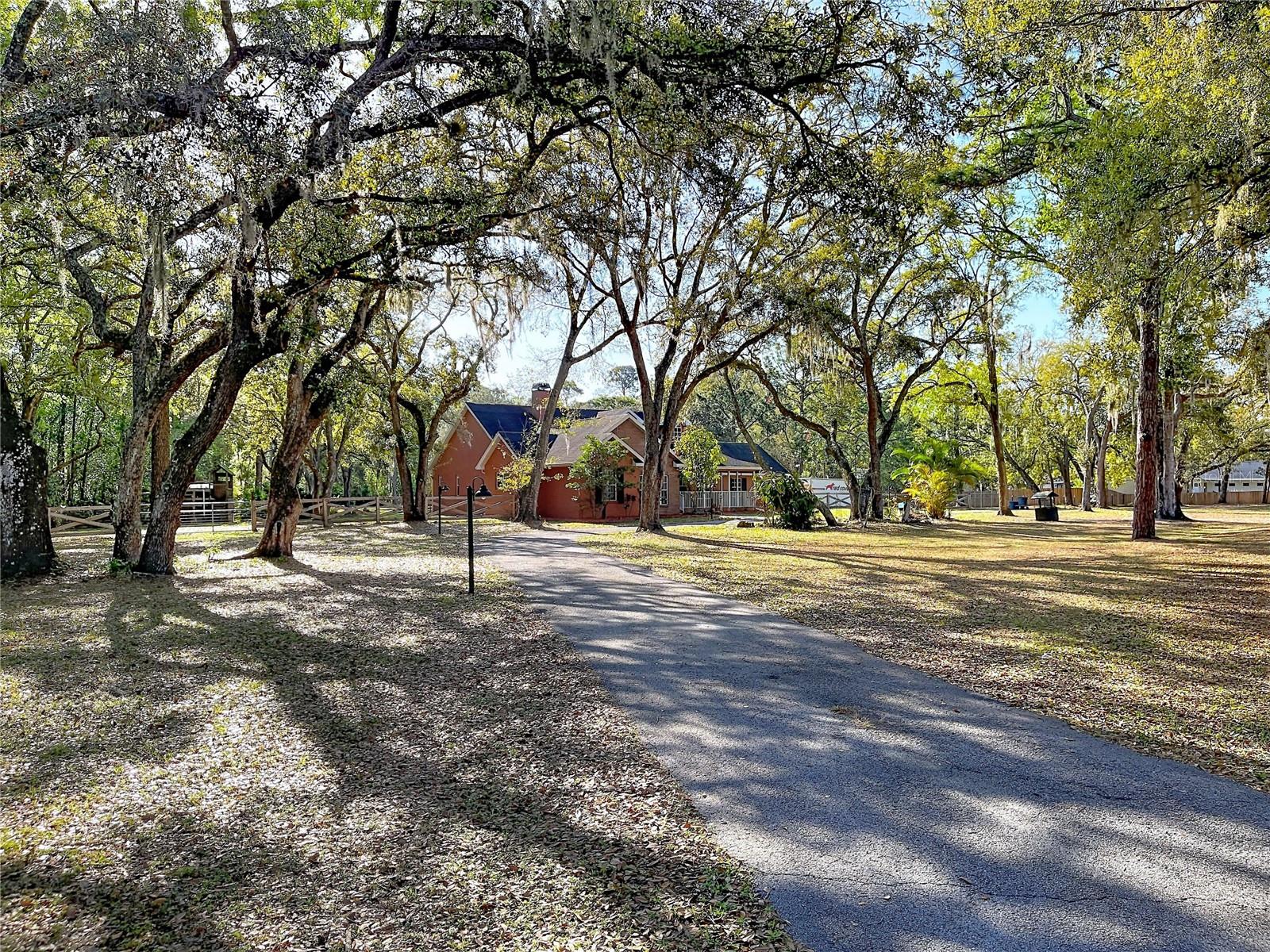 10170 CASEY DR, NEW PORT RICHEY, FL, 34654