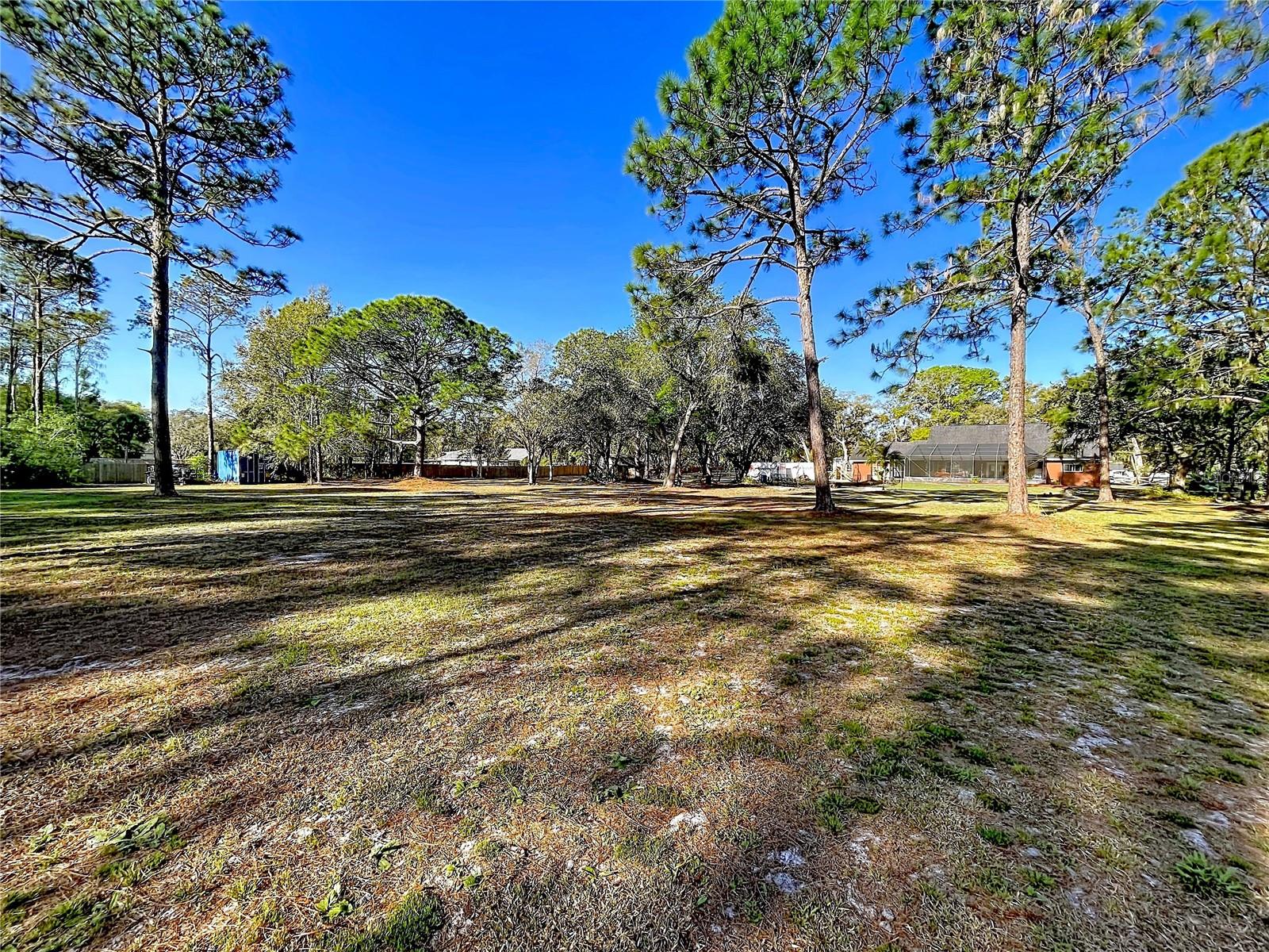 10170 CASEY DR, NEW PORT RICHEY, FL, 34654