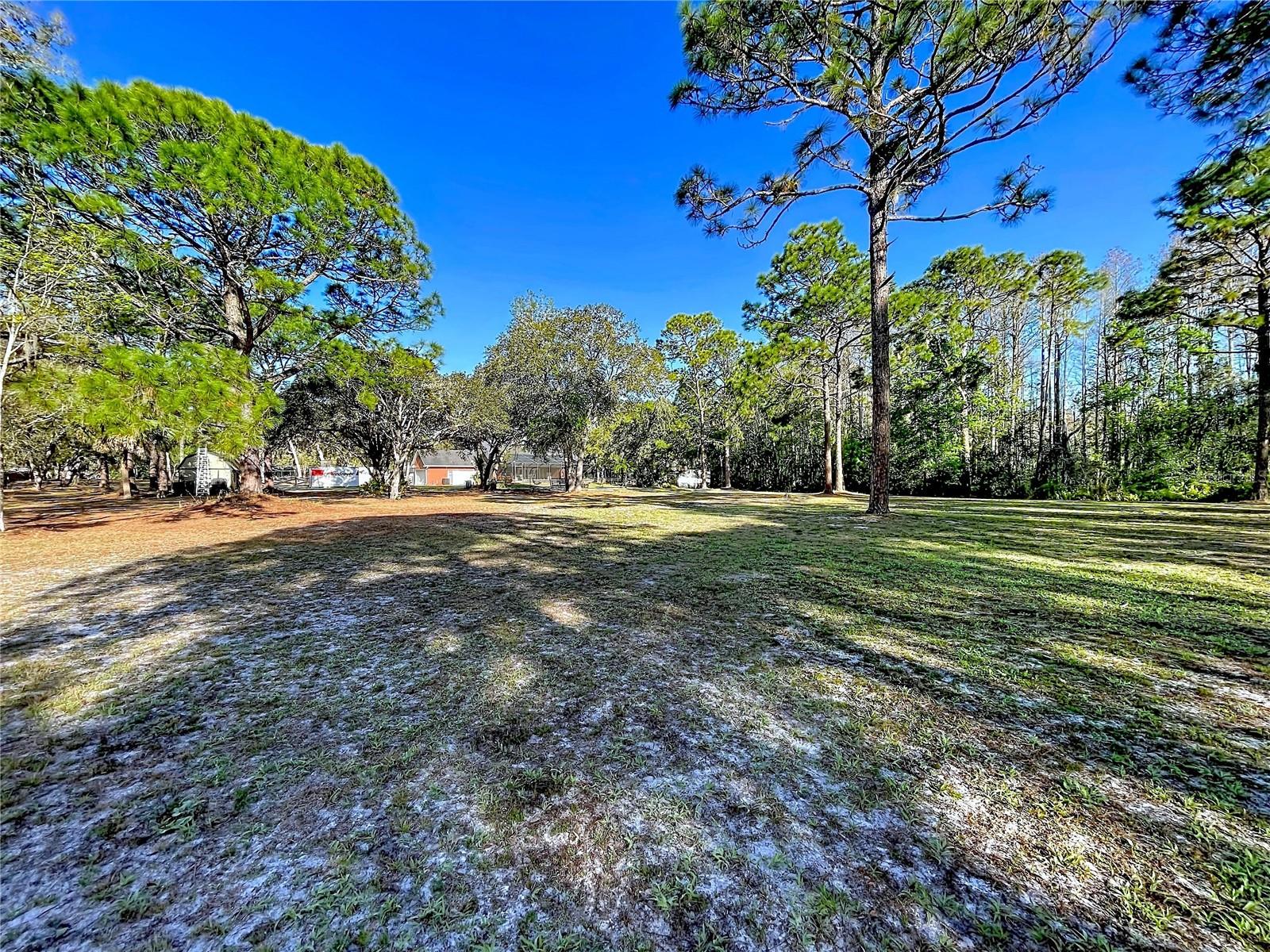 10170 CASEY DR, NEW PORT RICHEY, FL, 34654