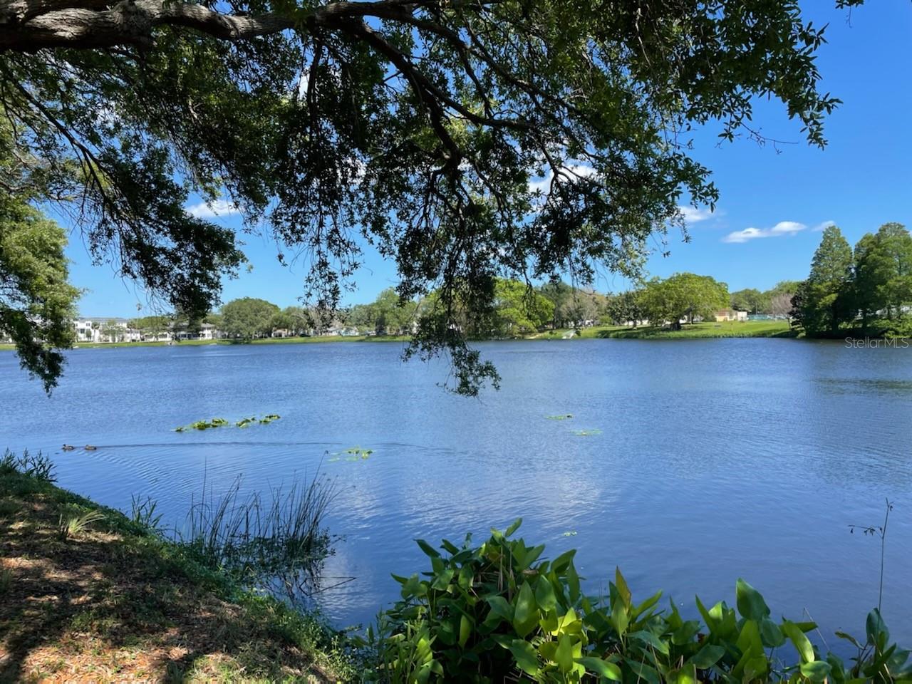 1601 11 ST N, ST PETERSBURG, FL, 33704