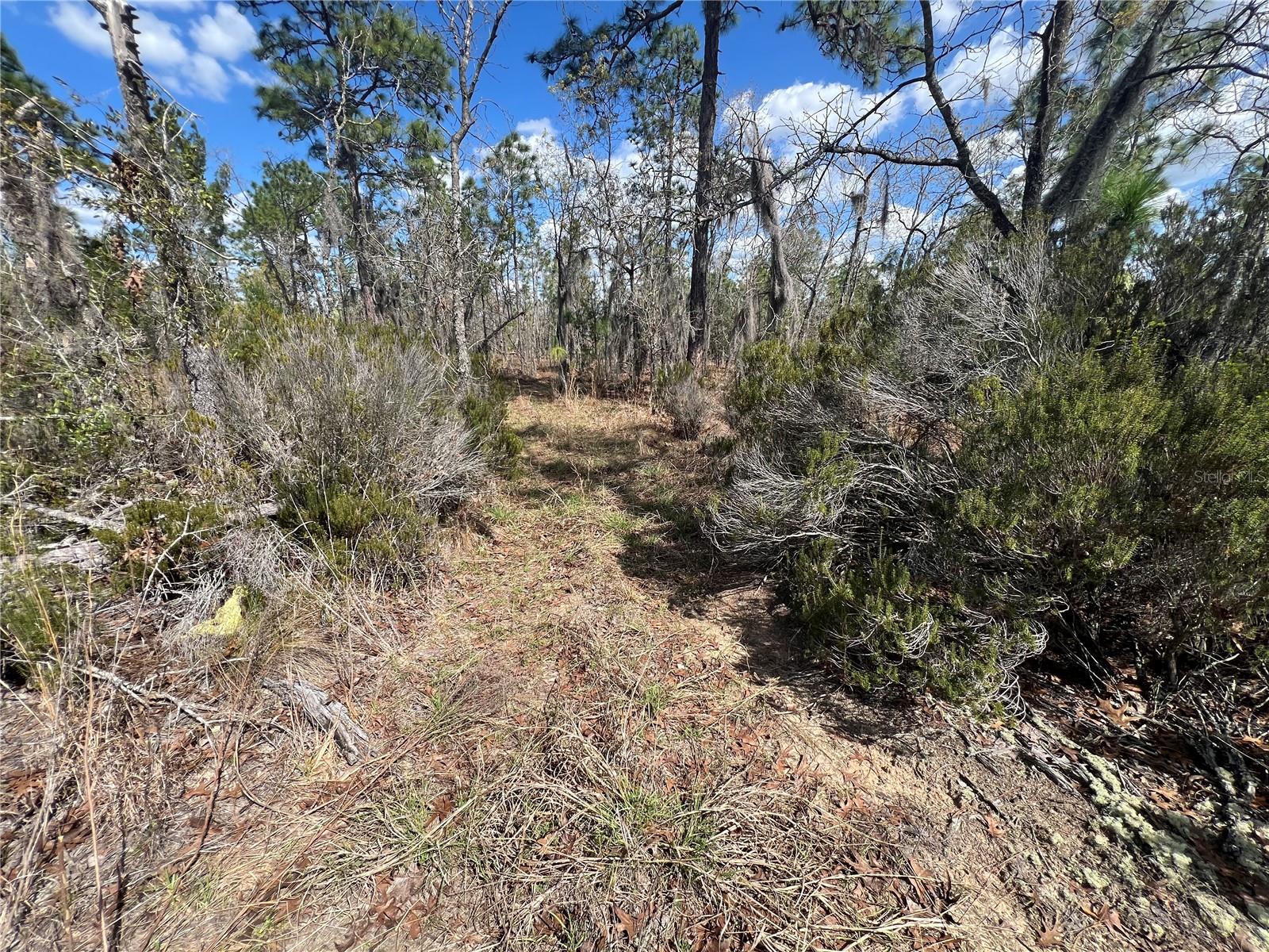 143 QUAIL WAY, HAWTHORNE, FL, 32640